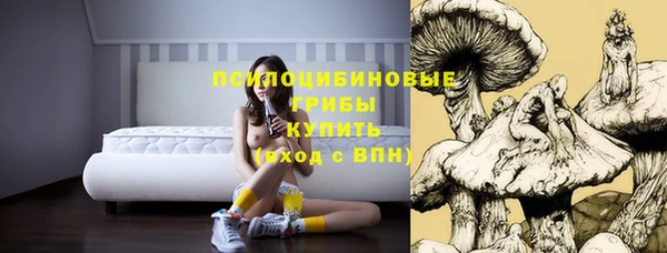 прущие крисы Армянск