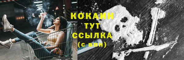 прущие крисы Аркадак