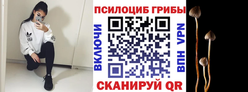 Псилоцибиновые грибы GOLDEN TEACHER  Малоархангельск 